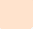 CC Color Correcting Cream